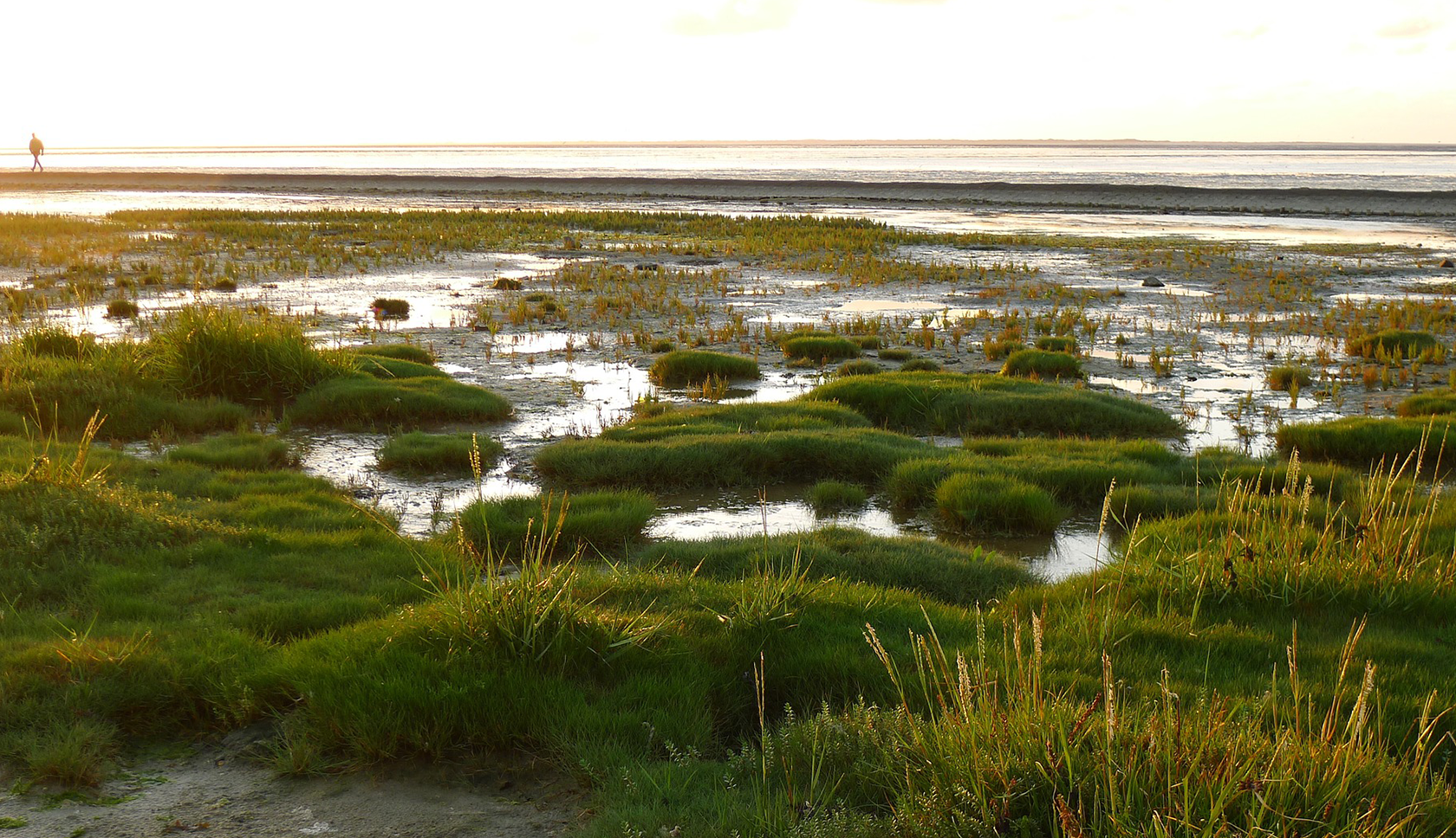 lauwersmeer