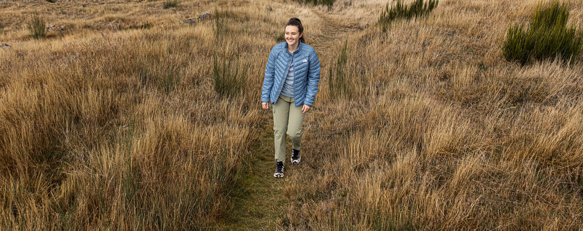 De mooiste NS-wandelingen: ontdek natuur met de trein