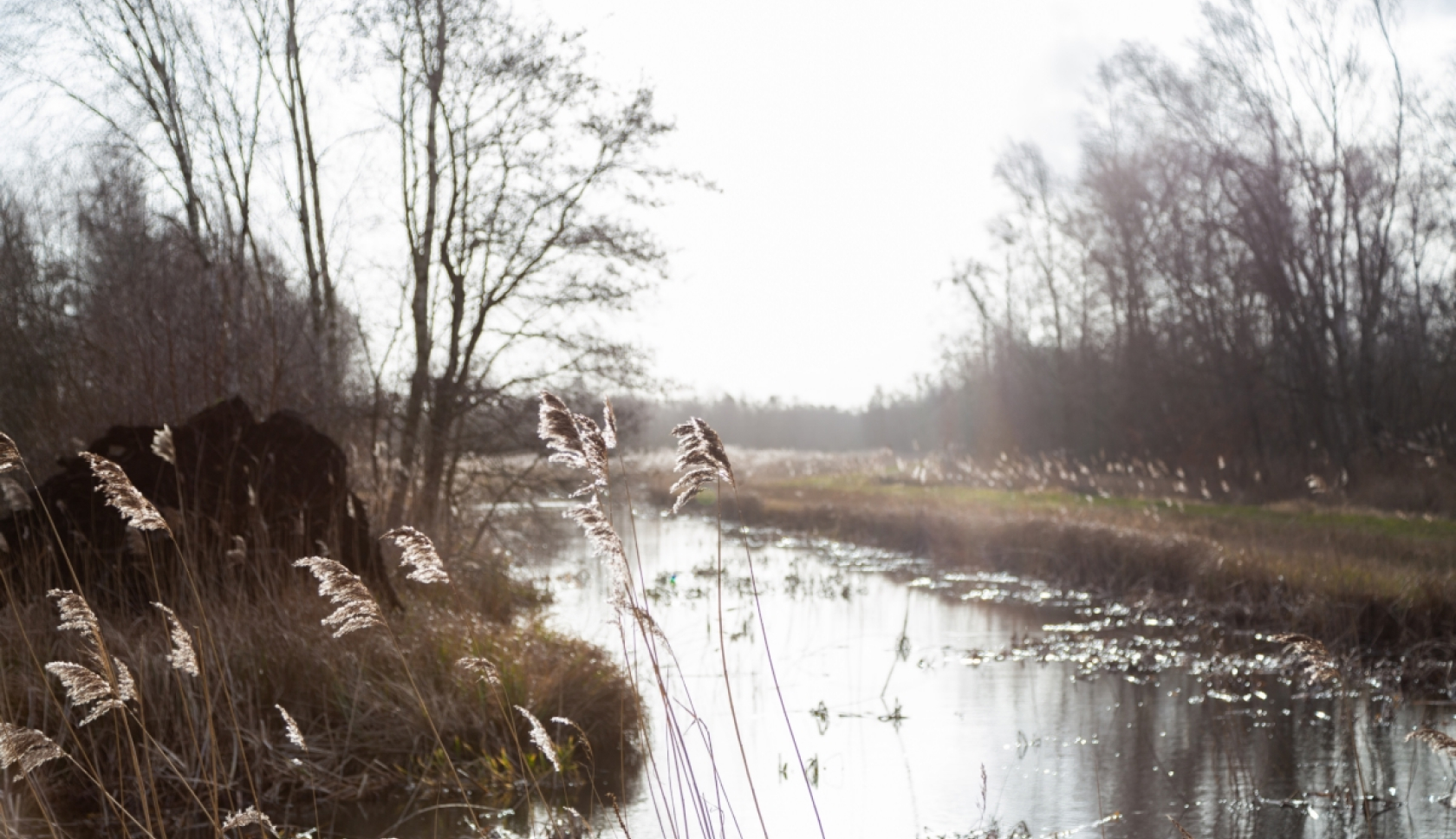 Boswachterspad Rottige Meente
