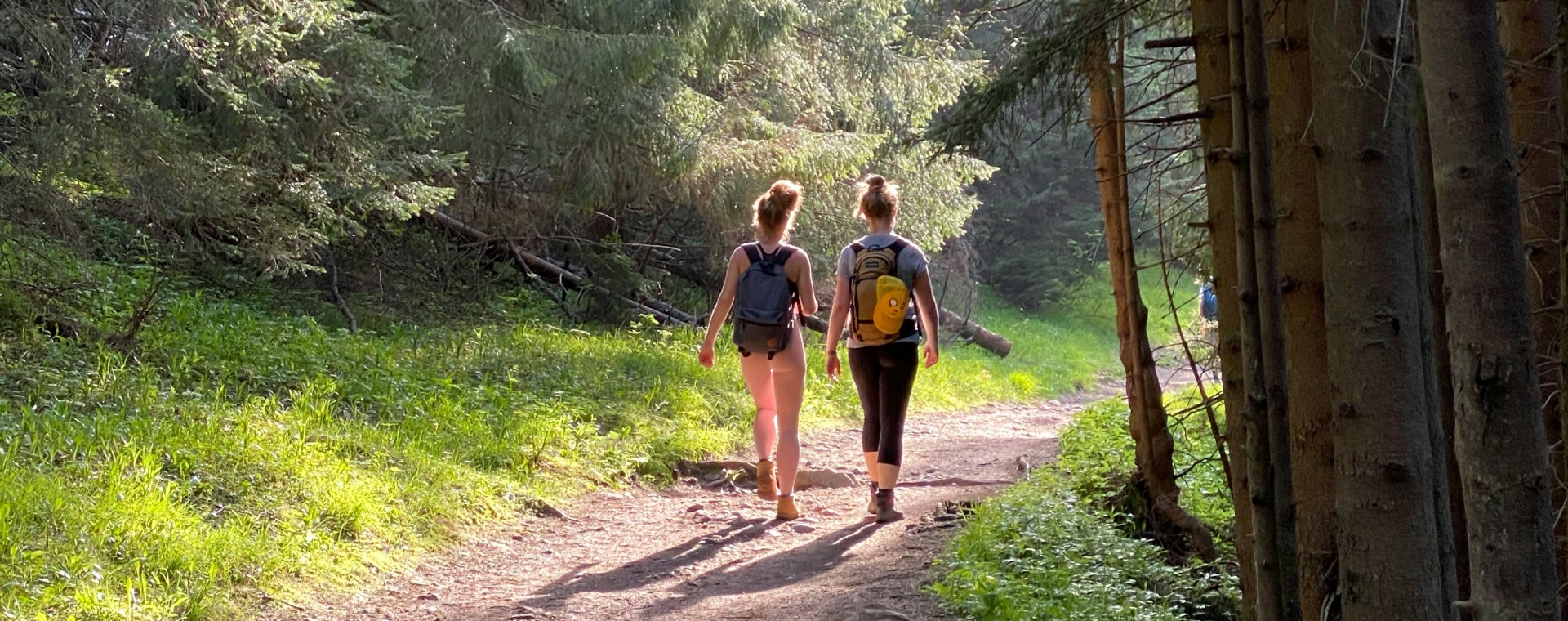 Paklijst voor een dagwandeling: wat neem je mee?